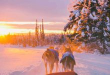 Iditarod