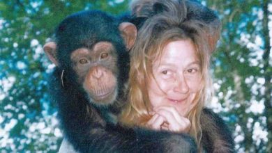 Story of Charla Nash